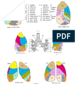 respiratory