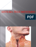 Sistema Tegumentario 2