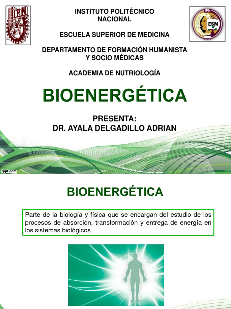 1 Bioenergetica Caloría Alimentos