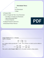 determinants2008.pdf