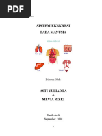 Download Sistem Ekskresi Pada Manusia by Asti Yuliadha SN36881755 doc pdf