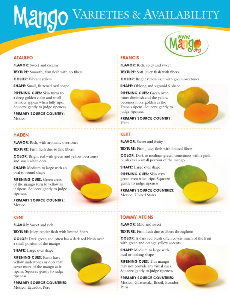 Mango Varieties and Availability PDF | PDF | Mango | Edible Fruits