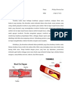 Patofisiologi Trombus