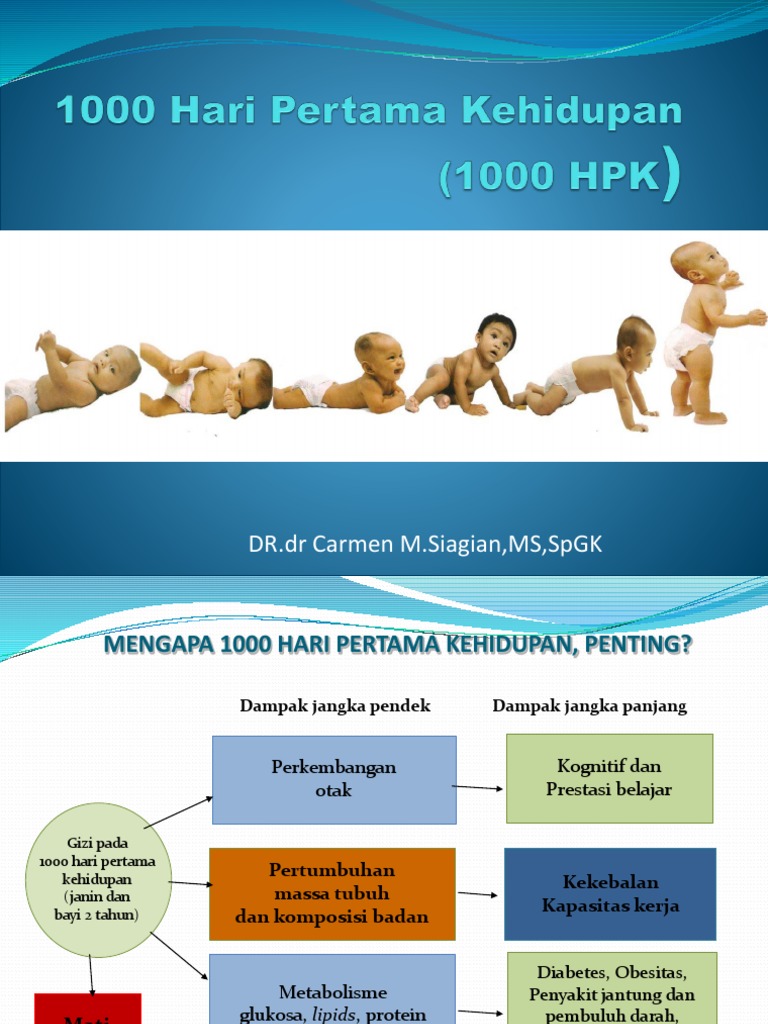 1000 Hari Pertama Kehidupan | PDF