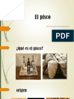 Pisco Expo