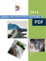 Internship Final Report PDF