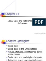 Social Class and Reference Group Influences