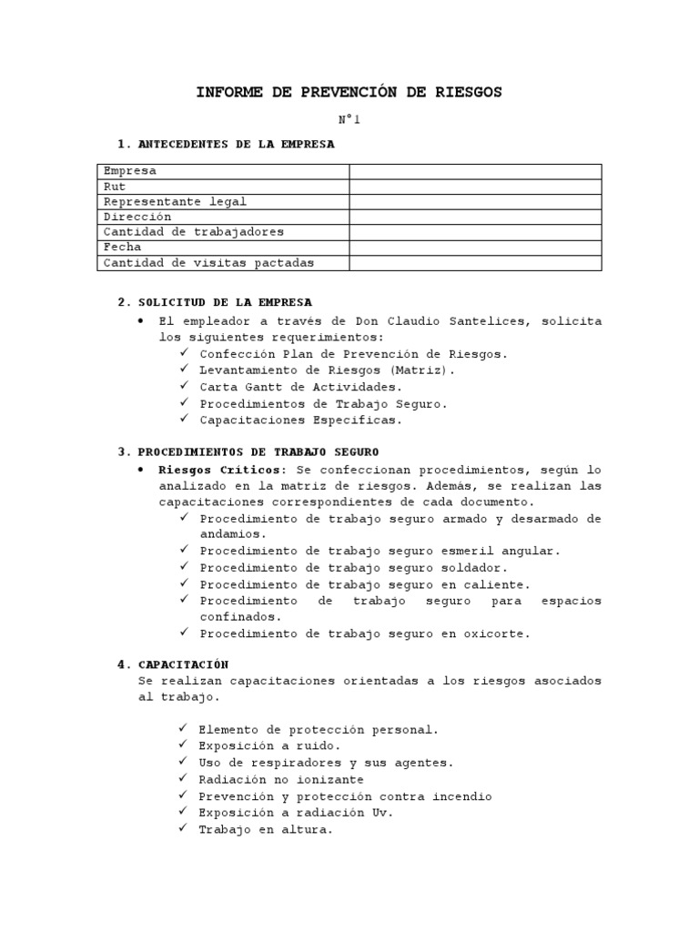 Informe de Prevención de Riesgos | PDF | Seguro | Energía y recursos