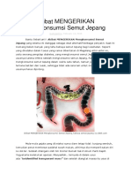 Akibat MENGERIKAN Mengkonsumsi Semut Jepang