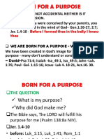 Born For A Purpose - Maximum Impact - 3