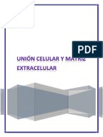 Seminario Matriz Extracelular y Unión Celular