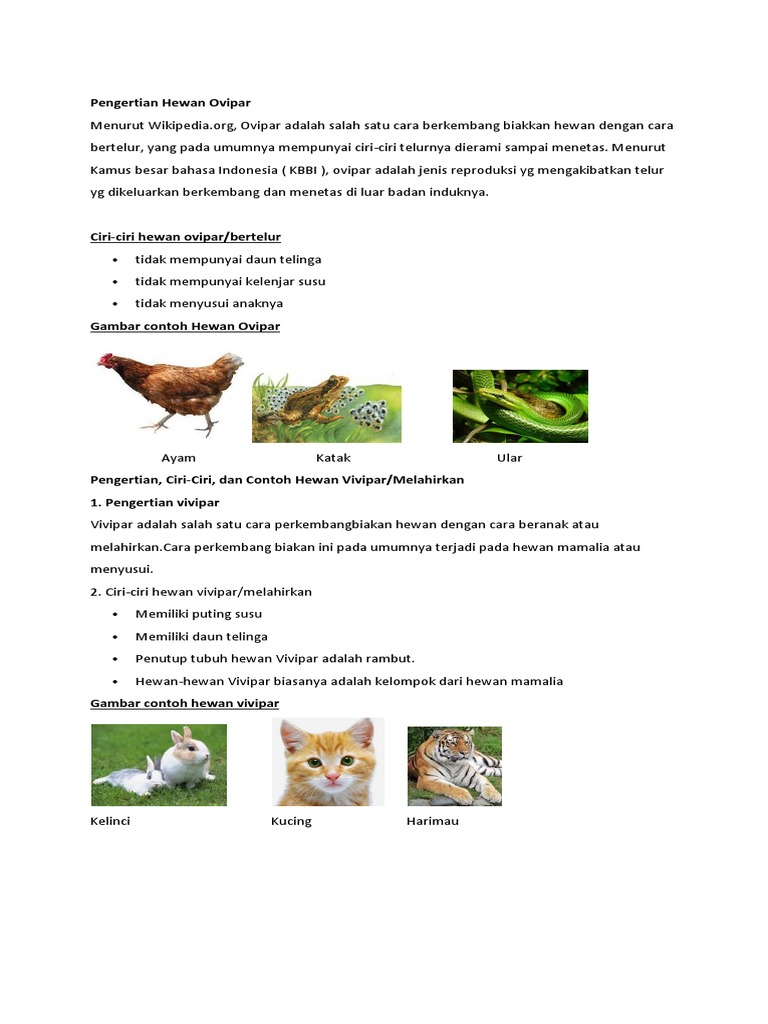 Ciri Ciri Fauna Vivipar Batik Indonesia Ciri Ciri Fauna Vivipar Batik Indonesia