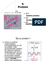Proteini - Prezentacija