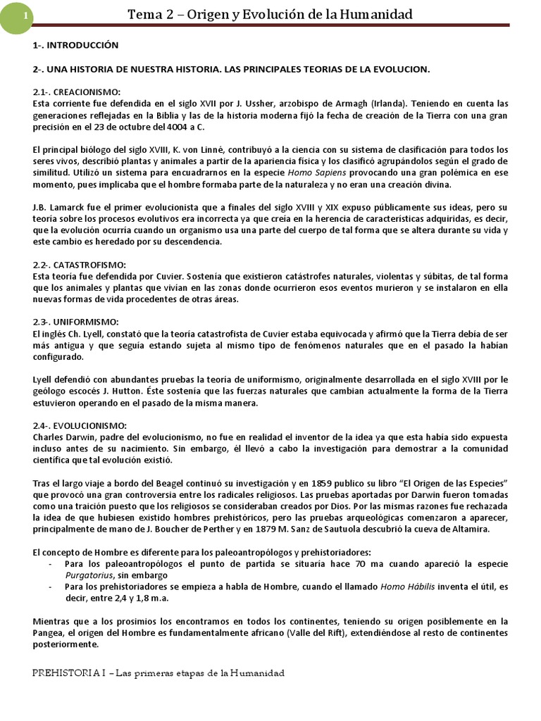 Origen y Evolución de la Humanidad | PDF | neanderthal | Homo