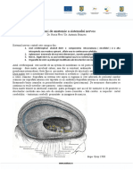 22_Urgente_neurochirurgicale_-_Notiuni_de_anatomie_a_sistemului_nervos.doc