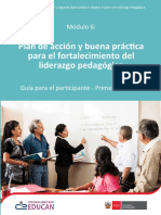 GUIA PLAN DE ACCION Y BUENA PRACTICA.pdf