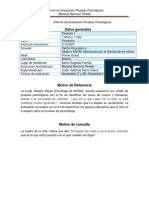 379_informepruebaspsicologicasfinalrevisado.pdf