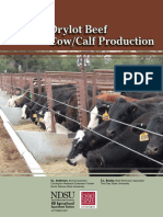 Drylot Beef: Drylot Beef Cow/Calf Production Cow/Calf Production