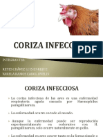 Coriza infecciosa aves H. paragallinarum