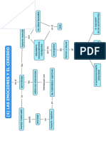 Las Emociones y El Cerebro