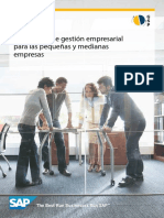 SAP Business One.pdf