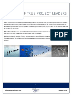Seven Habits of True Project Leaders v8