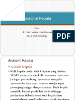 Anatomi Kepala A