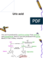 Uric Acid