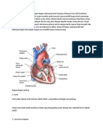 sistem kardiovaskuler.docx