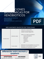 2.4_alteraciones Bioquimicas Por Xenobioticos