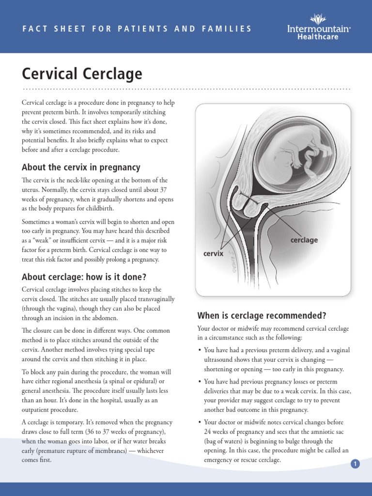 Cervical Cerclage: About The Cervix in Pregnancy | PDF | Preterm Birth ...