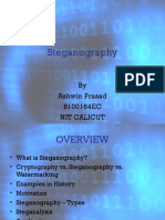 steganographypresentation-140313053315-phpapp01