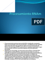 4-ProcesamientoRNAm