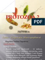 Protozoa 2new