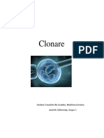 Реферат: Cloning Essay Research Paper Cloning EthicalThe cloning