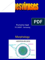 Purnomo Hadi: FK UNDIP - Semarang