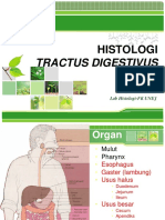 Histologi Sistem Digestif
