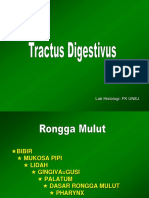 Kuliah 2. Tractus Digestivus.blok x