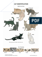 identification-and-coat-colors-patterns.pdf