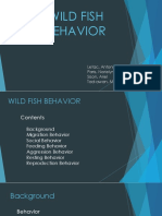 Wild Fish Behavior