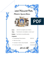 1er Informe(imprimir).pdf