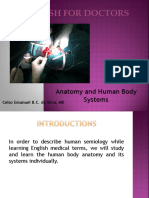 02 Body System