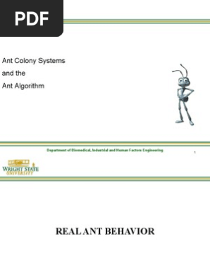 Ant Colony Tsp Optimization Applied Mathematics Algorithms