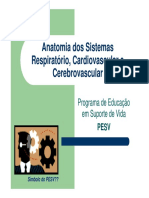 Anatomia dos Sistemas Respiratorio, Cardiovascular e Cerebrovascular.pdf
