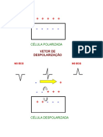 Teoria Do Dipolo