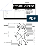 Partes del cuerpo y etapas de la vida