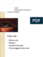 3-mata-2003.ppt