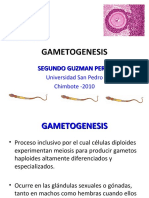 Gametogenesis