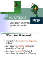 Mutations: Changes in DNA That Affect Genetic Information