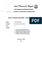 INFORME DE PISCO -UNICA.docx